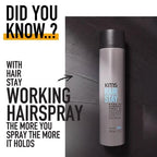 Hair Stay Working Spray